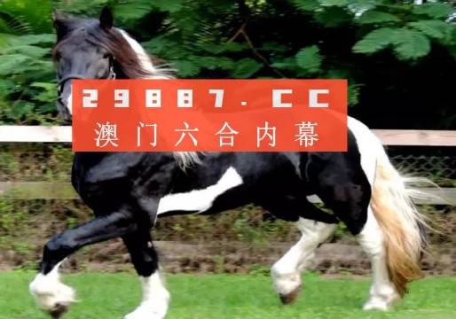 澳门和香港一肖一码一一特一中厂i词语释义与落实解释